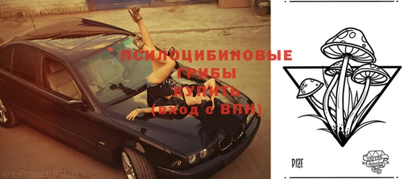 метадон Касимов