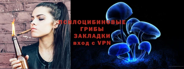 ALPHA-PVP Каменка