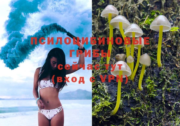 марки lsd Каменногорск