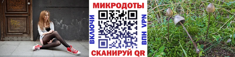 Галлюциногенные грибы ЛСД Купить где Межгорье
